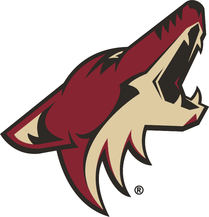 Phoenix Coyotes 2003-2014 Primary Logo iron on heat transfer